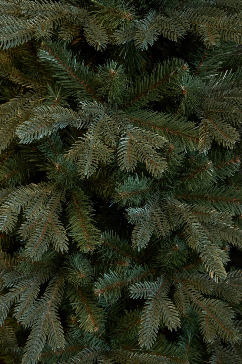 Triumph Tree Sherwood Kunstkerstboom Smal 260 cm Groen