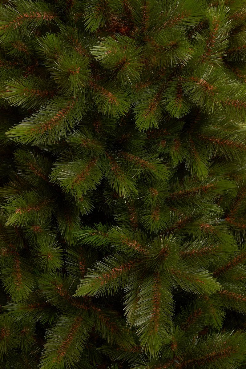 Triumph Tree Wyoming Kunstkerstboom H155 Ø117 cm Groen