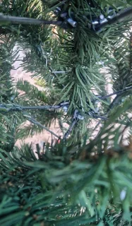 Uten Kunstkerstboom Luxe PE+PVC 225 cm Groen
