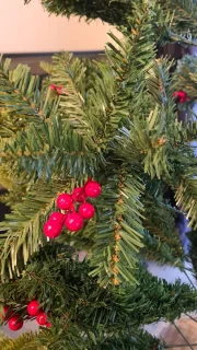 Uten Luxe Kerstboom PE+PVC 225 cm Groen