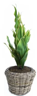 Vancouver Kunstkerstboom H90 cm in rotan mand D27xH20 cm