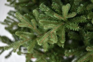 Vermont Hinged kunstkerstboom 198 cm
