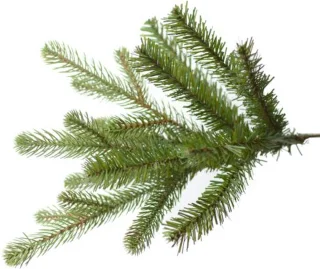 Vermont Hinged kunstkerstboom 198 cm