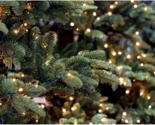 vidaXL Kunstkerstboom 150 cm