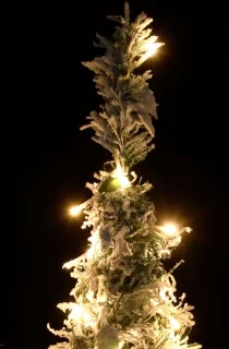 vidaXL Kunstkerstboom Pop-up 150 cm