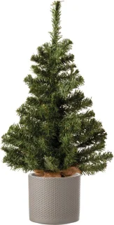 Volle mini kerstboom groen 60 cm met plantenpot