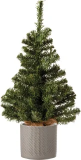 Volle mini kerstboom groen 60 cm met plantenpot