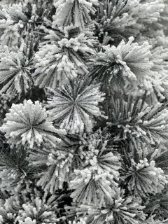 Wat vinden we goed aan de XMS-Trees Fairbanks Kunstkerstboom H150 x Ø76 cm