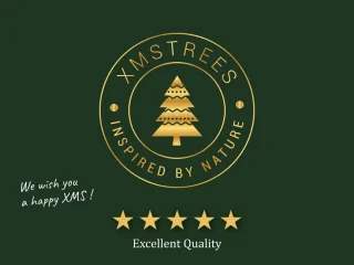 XMS-Trees Whistler Kunstkerstboom H180 x Ø124 cm