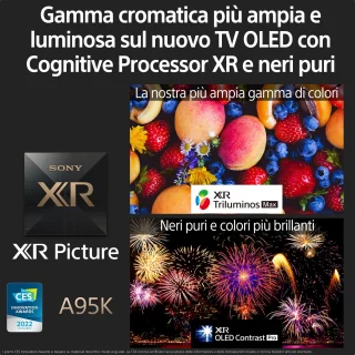 Sony XR-65A95K - 65 inch - 4K QD-OLED - 2022
