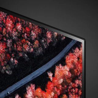 LG C9 OLED55C9PLA - 55 inch - 4K OLED - 2019 - Buitenlands model