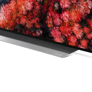 LG C9 OLED55C9PLA - 55 inch - 4K OLED - 2019 - Buitenlands model