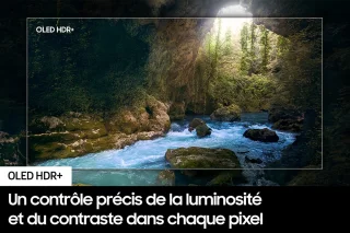 Samsung OLED TV S90D TQ55S90DAE 139,7 cm (55") 4K Ultra HD Smart TV Wifi Zwart
