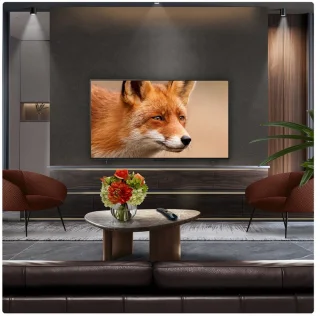 LG C5 OLED 77 inch (OLED77C54LA)