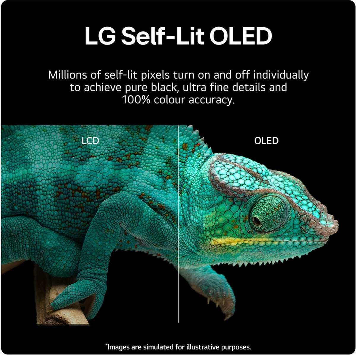 LG OLED55B46LA 55 inch 4K OLED 2024