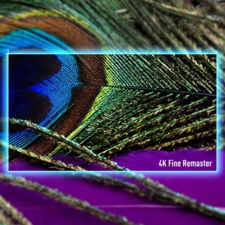 Panasonic 65Z85AEG OLED TV