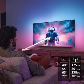 Philips 48OLED760/12 48 inch TV