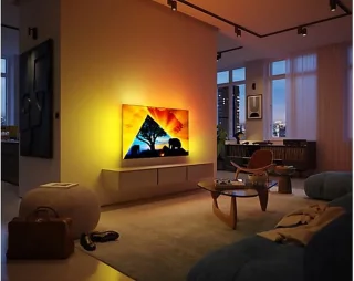 Philips 65OLED769/12 65 inch OLED 4K 2024