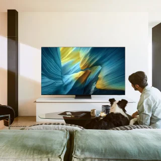 Samsung QE55S95FATXZT 55" TV