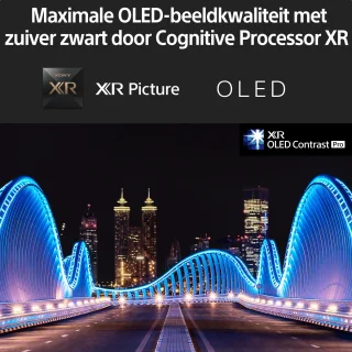 Sony XR-48A90K 48" 4K OLED 2022