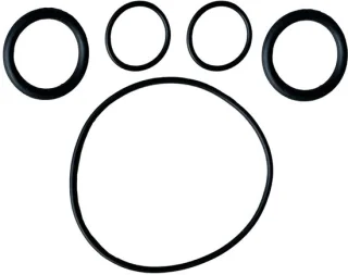 Snelshoppen - 5-delige siliconen o-ring set voor waterpompafdichting van Lay-Z-Spa, SaluSpa en hot tub