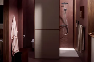 hansgrohe Raindance Alive S Puro - Showerpipe - Ecostat thermostaat - 300mm maat - 1 straalfunctie - Chroom