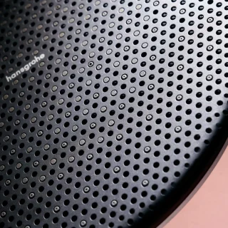 hansgrohe Raindance Alive S Puro - Showerpipe - Ecostat thermostaat - 300mm maat - 1 straalfunctie - Brushed Black Chrome