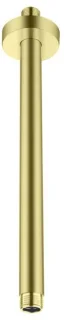 Aloni Rainshower plafondarm 30 cm geborsteld goud