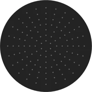 Bally Hoofddouche Rond 300mm Mat Zwart
