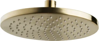 Bally Luxe Messing Rond Hoofddouche 200x12mm