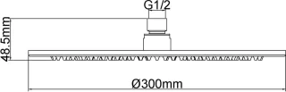Bally Luxe Messing Rond Hoofddouche 300x8mm