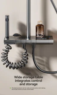 Compleet Douchesysteem Hoofddouche & Handdouche Zilver