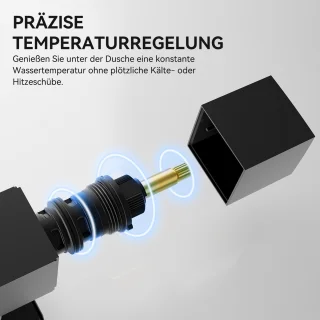 DERW Max Doucheset Thermostaat Zwart