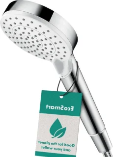 Douchekop rond handdouche EcoSmart wit chroom