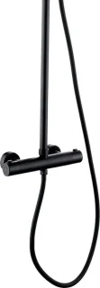 Doucheset Sedal Opbouw Regendouche 25cm Thermostaat RVS Messing