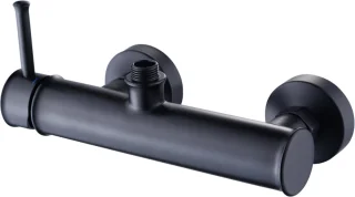 Doucheset Zwart Regendouche 25 cm Messing RVS