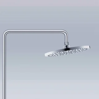 Duravit Douches Doucheset TH4280008010 Chrome 25 cm