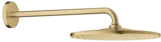 Grohe Rainshower Mono Douchekop 26558GN0