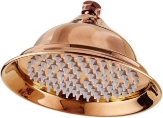 Handdouche regendouche 8 inch rond goud
