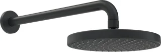 Hansa Basicjet regendouche 20 cm mat zwart 4436010033