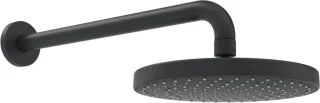 Hansa Basicjet regendouche 20 cm mat zwart 4436010033