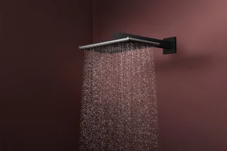 Hansgrohe Raindance Alive Q Hoofddouche matzwart