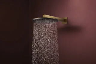 Hansgrohe Raindance Alive S Hoofddouche 30 cm Geborsteld Brons