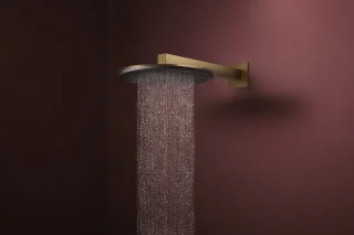 Hansgrohe Raindance Alive S Hoofddouche 30 cm Geborsteld Brons