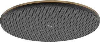 Hansgrohe Raindance Alive S Hoofddouche 30 cm Geborsteld Brons