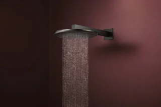 Hansgrohe Raindance Alive S Hoofddouche 30 cm Geborsteld Zwart Chroom