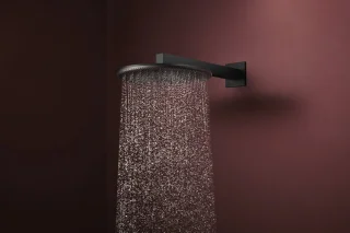 Hansgrohe Raindance Alive S Hoofddouche