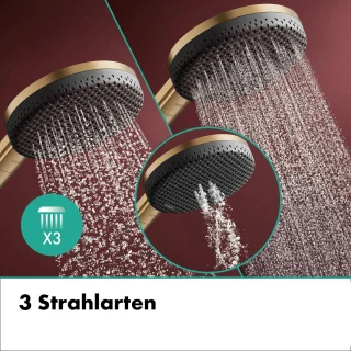 hansgrohe Raindance Alive S Puro Showerpipe