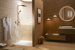 Hansgrohe Raindance alive showerpipe