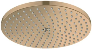 Hansgrohe Raindance S Hoofddouche geborsteld brons 28821140